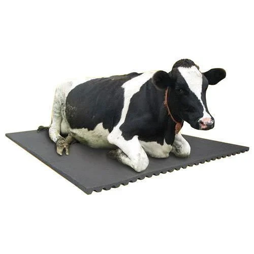 rubber-cow-mat-500x500-1.webp